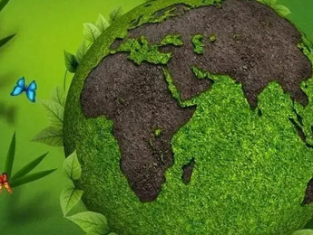 Plastic Restriction Order, The Rise Of Paper Packaging Materials